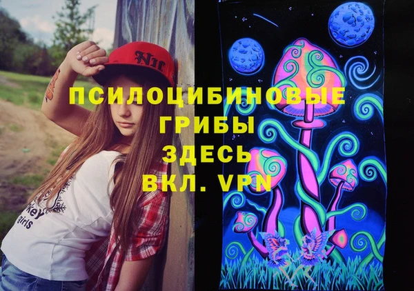 ГАЛЛЮЦИНОГЕННЫЕ ГРИБЫ Абинск