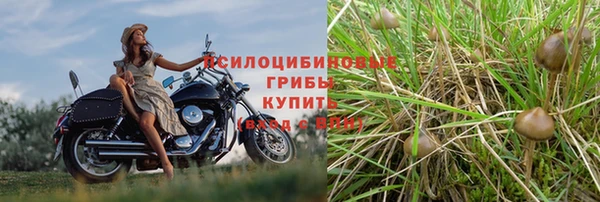 бутират Абаза