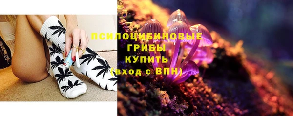 ГАЛЛЮЦИНОГЕННЫЕ ГРИБЫ Абинск
